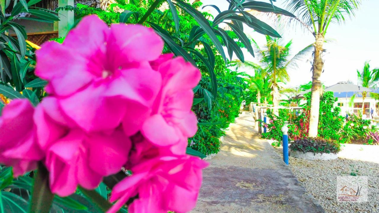 Jabali Bungalows Lodge Paje Dış mekan fotoğraf
